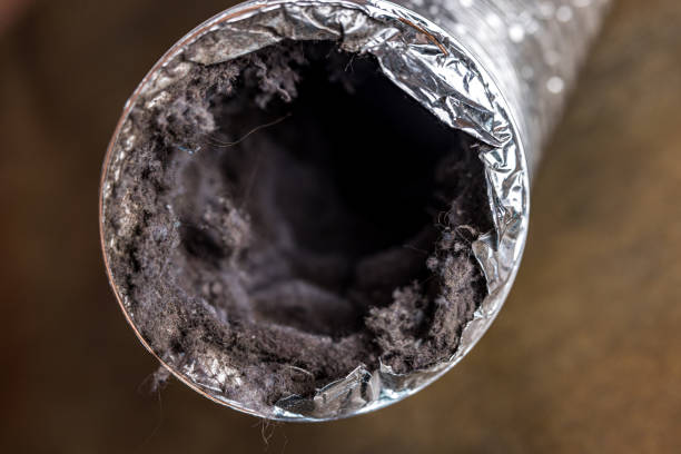 Best HVAC Duct Inspection Services  in Midland City, AL